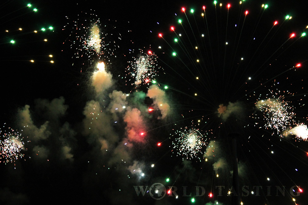 nice-france-fireworks-wt14
