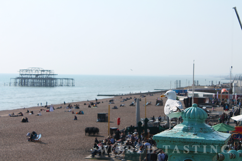 Brighton Seafront